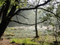 2011-09-28 Zeegse003 (Kopie)