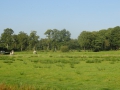 2011-09-28 Zeegse019 (Kopie)