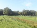 2011-09-28 Zeegse020 (Kopie)