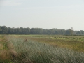 2011-09-28 Zeegse023 (Kopie)