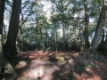 2011-09-30 Zuidlaren-Zwolle002 (Kopie)