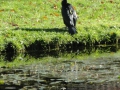 2011-09-30 Zuidlaren-Zwolle021 (Kopie)