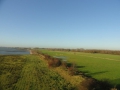 2011-11-30 Zaltbommel011