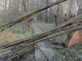 2011-12-14 Den Bosch027