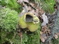 2012-01-11 ACHTMAAL (12)