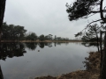 2012-01-11 ACHTMAAL (35)