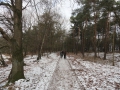2012-02-08 Escharen011