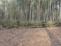 2012-02-22Paalgraven002
