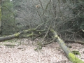 2012-02-22Paalgraven003