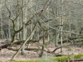 2012-02-22Paalgraven008