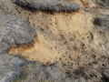 2012-02-22Paalgraven012