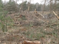 2012-02-22Paalgraven028