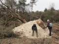 2012-02-22Paalgraven030