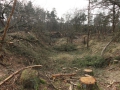 2012-02-22Paalgraven034