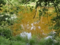 2012-06-13Vught011