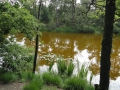 2012-06-13Vught013