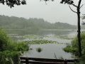 2012-06-27Nijnsel013