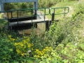 2012-07-25 Sterksel017