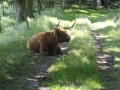 2012-07-25 Sterksel020