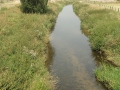 2012-08-20 Heek018 (Kopie)