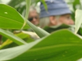 2012-08-21 Telgte-Warendorf016 (Kopie)