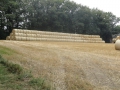 2012-08-21 Telgte-Warendorf022 (Kopie)