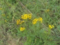 2012-08-21 Telgte-Warendorf039 (Kopie)