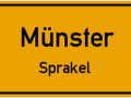 2012-08-22 Munster-Sprakel001 (Kopie)