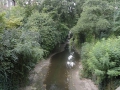 2012-08-22 Munster-Sprakel010 (Kopie)