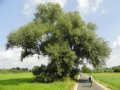 2012-08-22 Munster-Sprakel017 (Kopie)