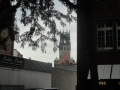 2012-08-24 Munster006 (Kopie)