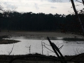 2009-02-11 Oosterhout 006