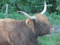 2012-09-05 Dorst 007