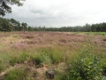 2012-09-05 Dorst 019