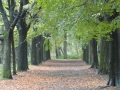 2012-10-17Boxtel006