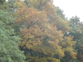 2012-10-17Boxtel011