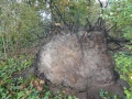 2012-10-17Boxtel013