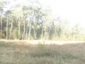 2012-10-31 Maarn010