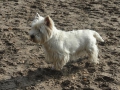 2012-10-31 Maarn014