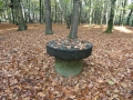 2012-10-31 Maarn017