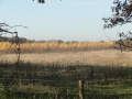 2012-11-14 Wolfheze009