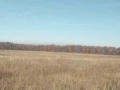 2012-11-14 Wolfheze011