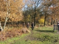 2012-11-14 Wolfheze016