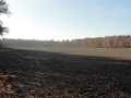 2012-11-14 Wolfheze019