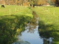 2012-11-14 Wolfheze033