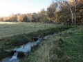 2012-11-14 Wolfheze043