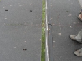 2012-11-28 Boxtel007