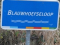 2012-11-28 Boxtel010
