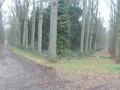 2012-11-28 Boxtel015