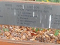 2012-11-28 Boxtel018